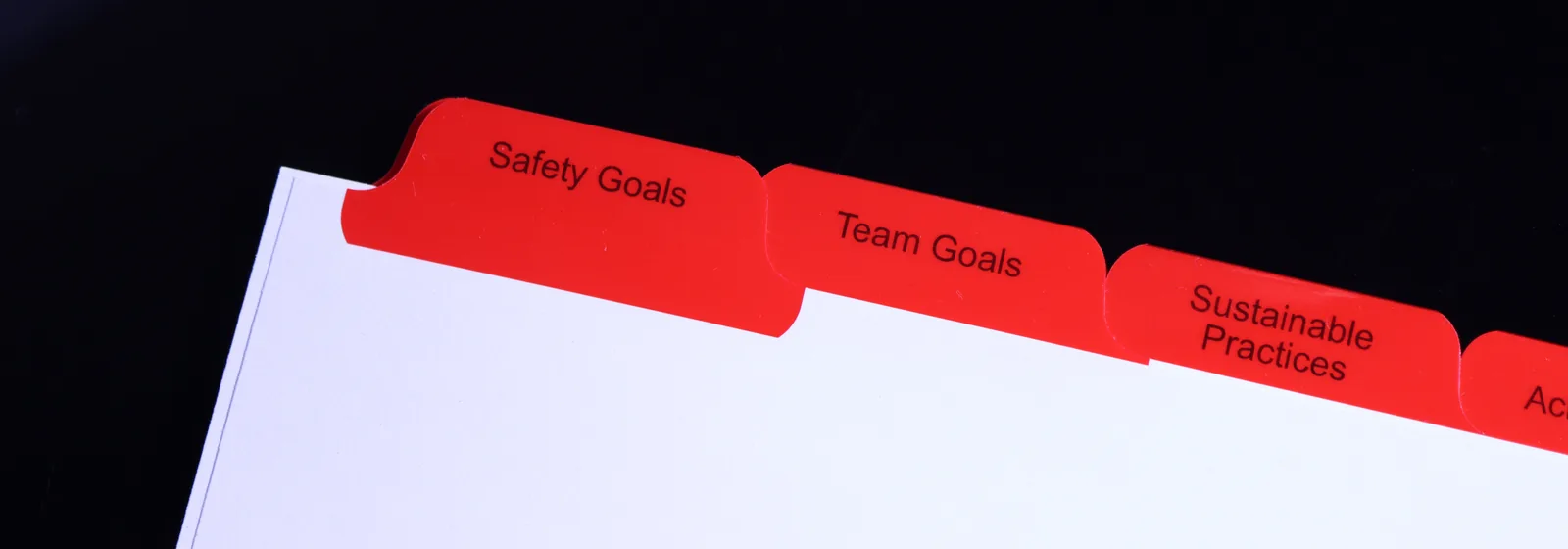 Red Mylar index tabs printed Safety Goals, Team Goals and Sustainable Practices — custom compliance manual tab set by Anselmo Die & Index